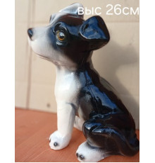 СОБАКА РИЧЧИ
