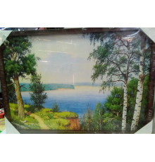 Картина масло 50х70  пласт багет