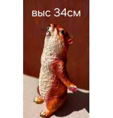 Веселый суслик