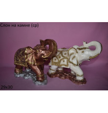 Слон на камне ср бр