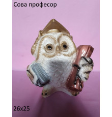 Сова профессор