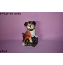 бульдог на камне
