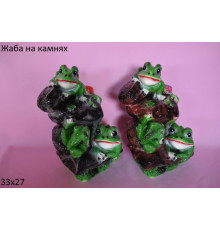 жаба на камнях
