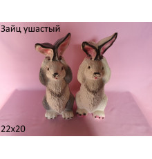заяц ушастый