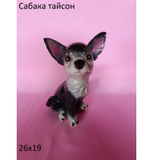 собачка ТАЙСОН