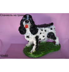 Спаниель на траве