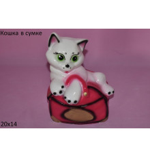 КОШКА в  СУМКЕ