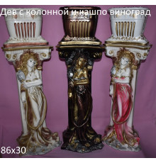 Девушка с колонной и кашпо виноград