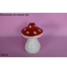 Мухомор ножка малый в