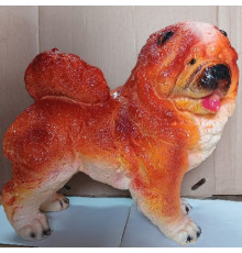 ЧАУ- ЧАУ  